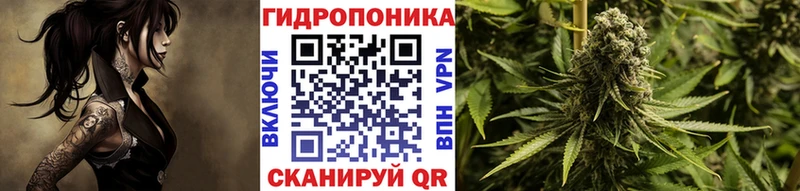 Шишки марихуана план Лесозаводск